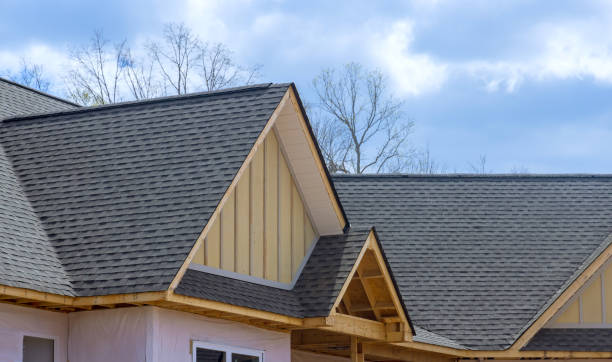 Best Hot Roofs  in Princeton, IL