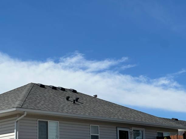 Best Skylight Installation and Repair  in Princeton, IL